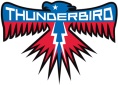 Castle Thunderbird Controllers