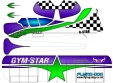Gym Star Indoor EPP Trainer - Purple