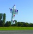 Multiplex Acromaster Hovering