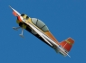 SUeleven Depron Model